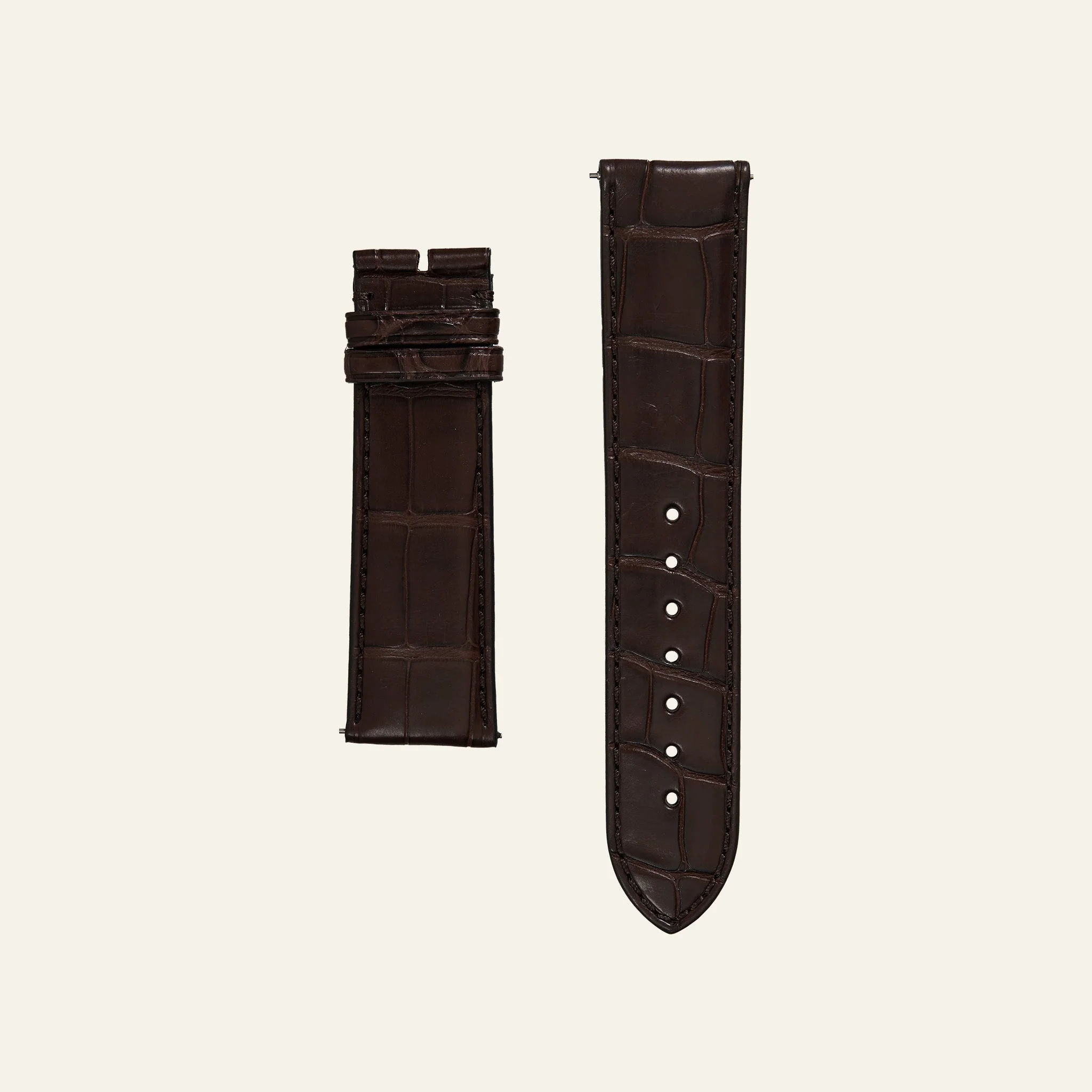 Brown Shiny Alligator Strap - L