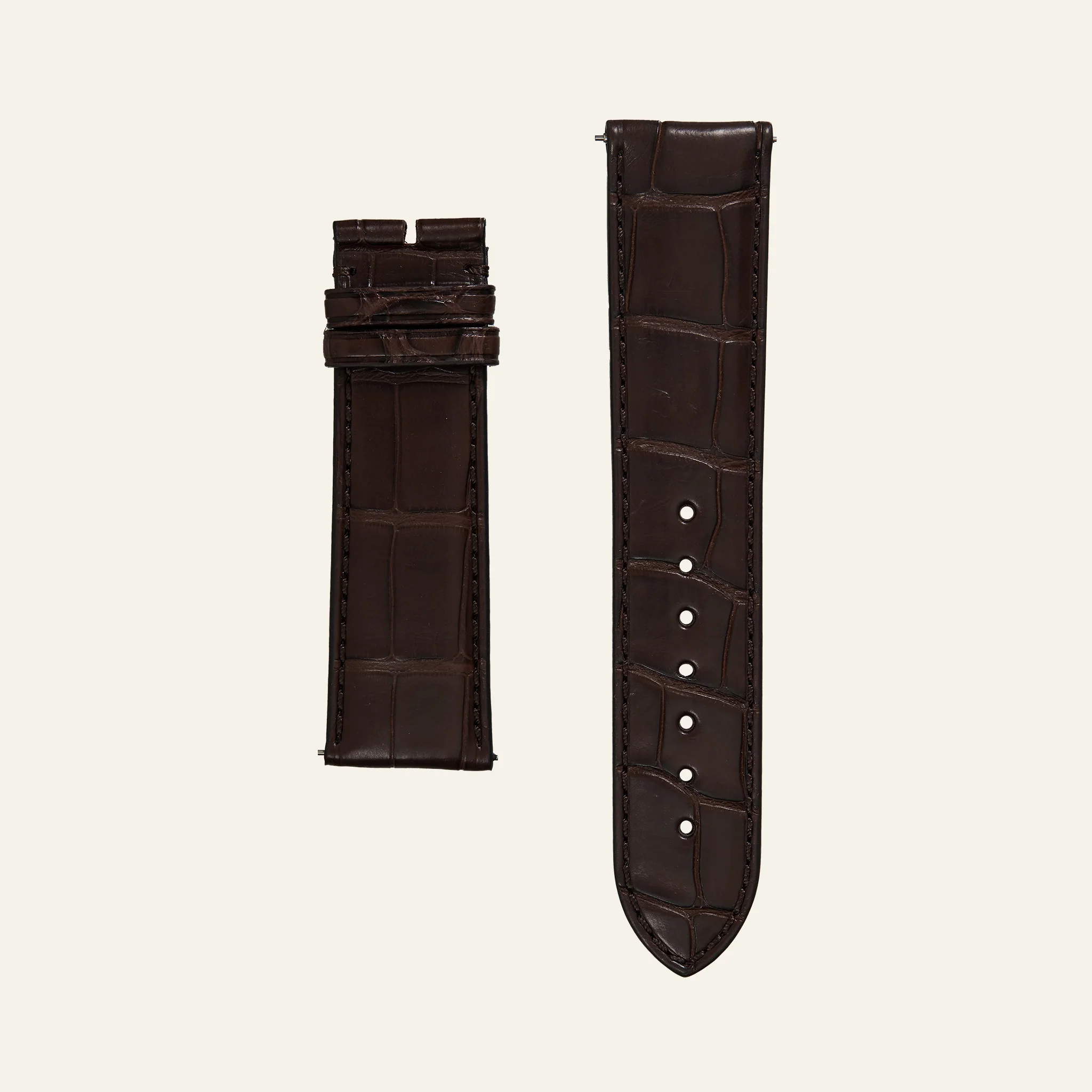 Brown Shiny Alligator Strap - L - Image 2