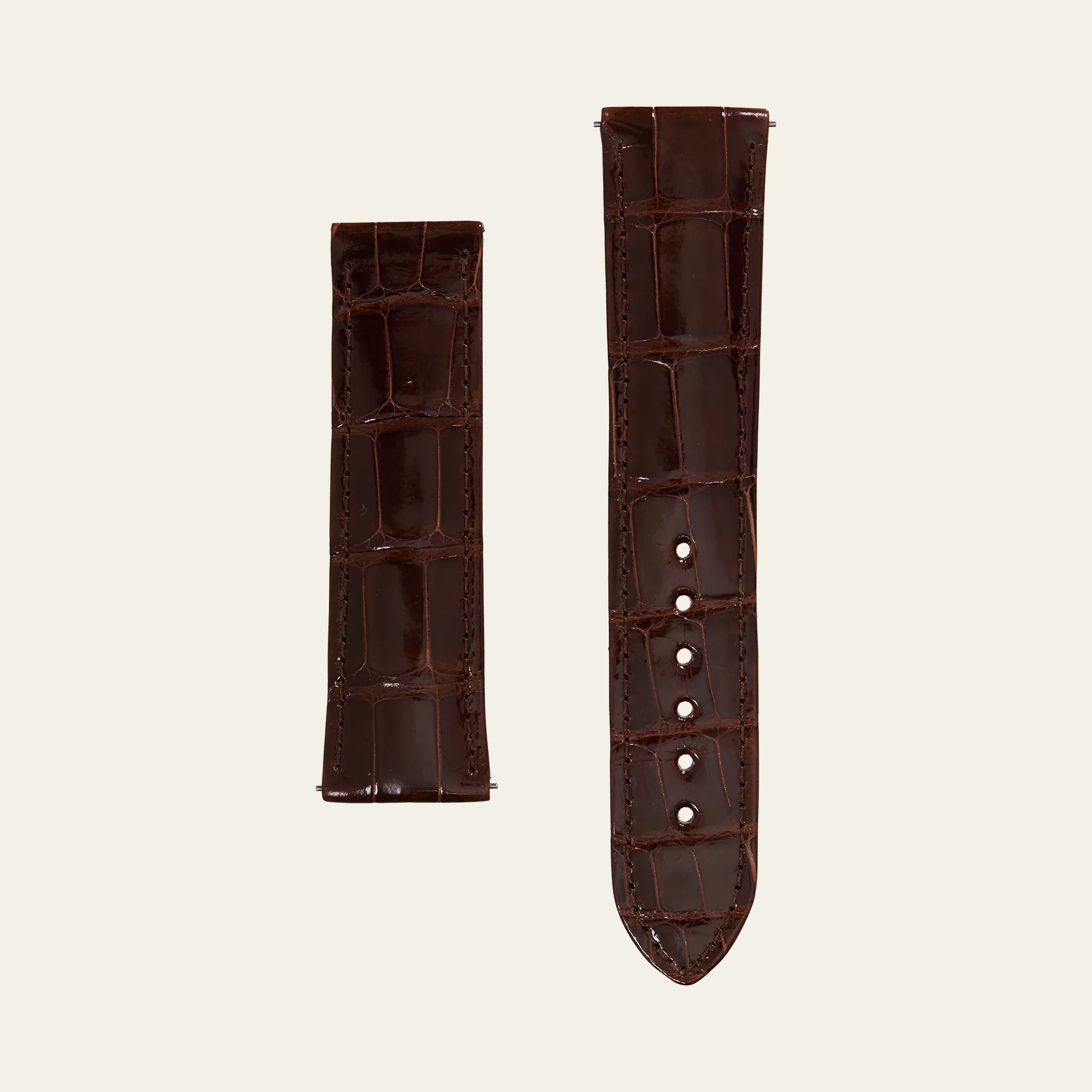Brown Shiny Alligator Strap - M