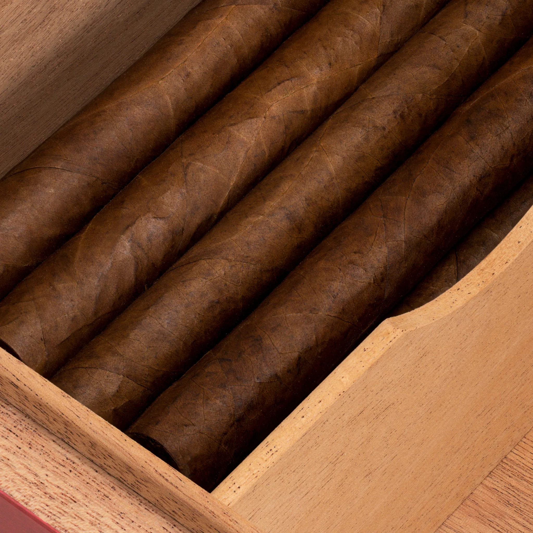 Cigar Humidor - Image 5