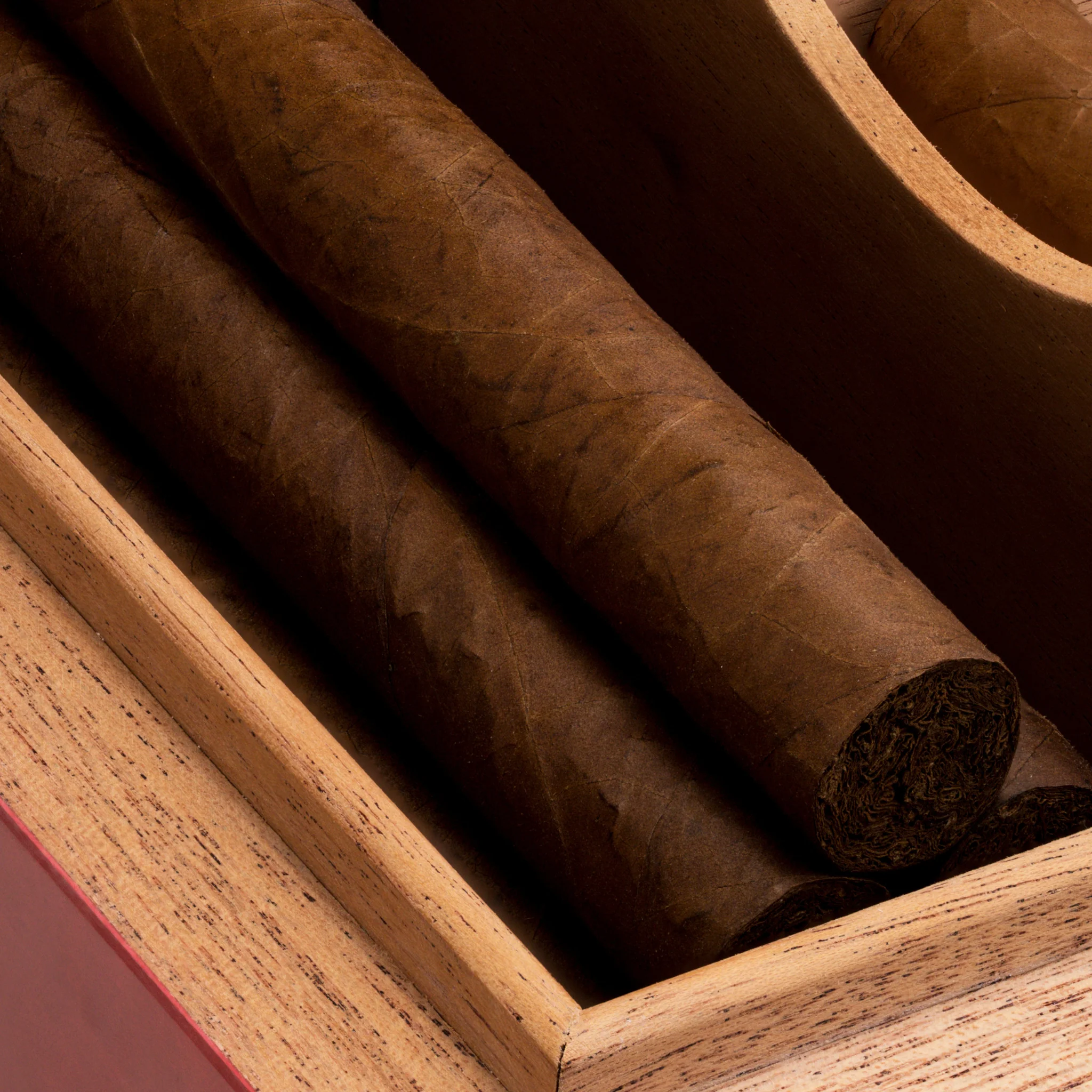 Cigar Humidor - Image 6